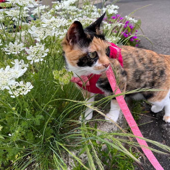 83b7f9a7 e431 49c2 8e9c a3f36e199745 1655247505485