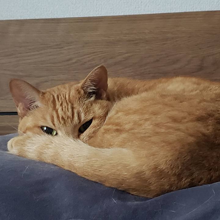 83b81483 8377 474f a763 b18ef3ffce4a 1719824259967