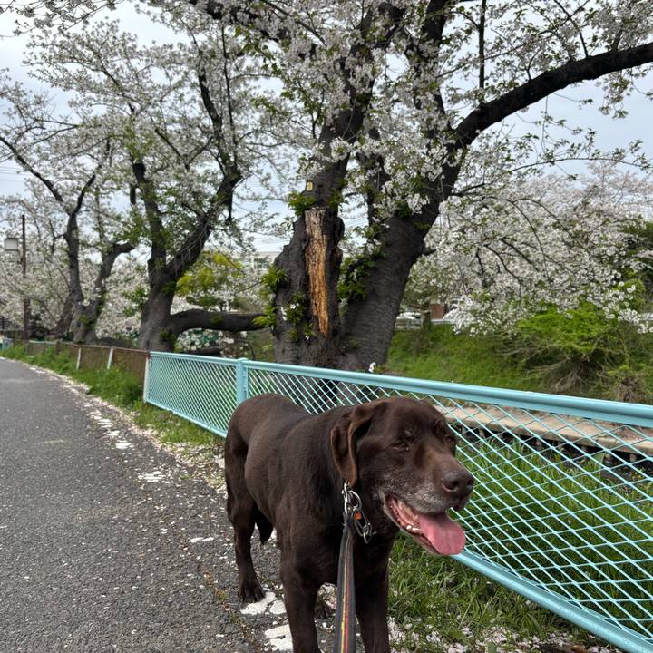 83b81fa0 987e 436b a6d7 c7d9cbd01ddf 1775651379199