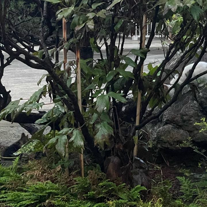 83b8458c ee95 4b49 934e 89fef008a93d 1625944902000