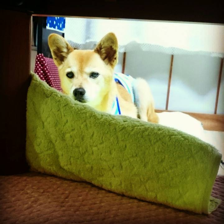 83b85931 7410 4925 8ef7 0f2016be69eb 1561742823569