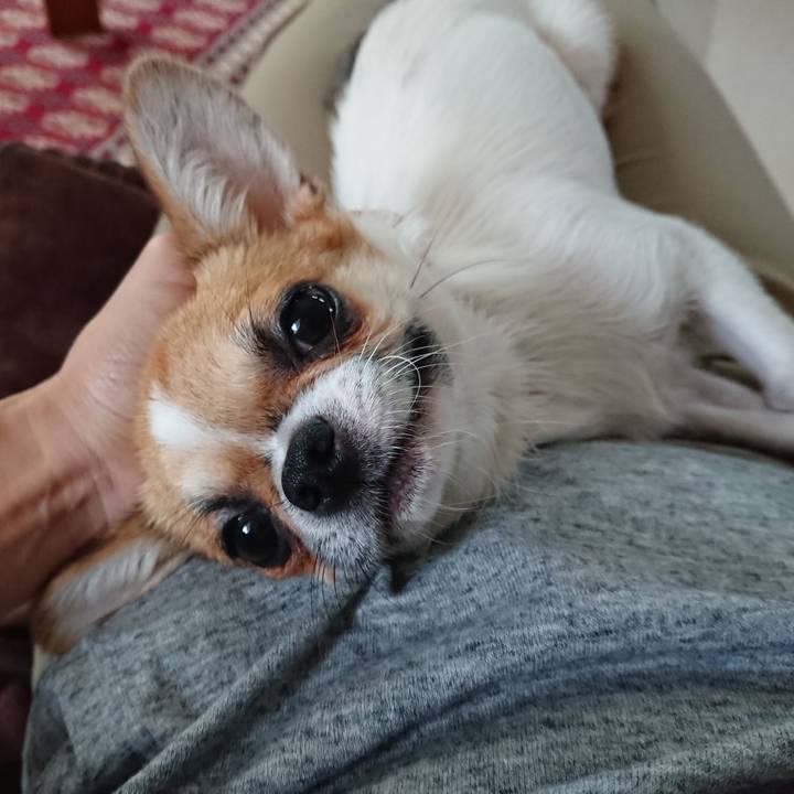 83b87ab2 9c44 43e1 8f18 9a8b091d92ef 1532645013310