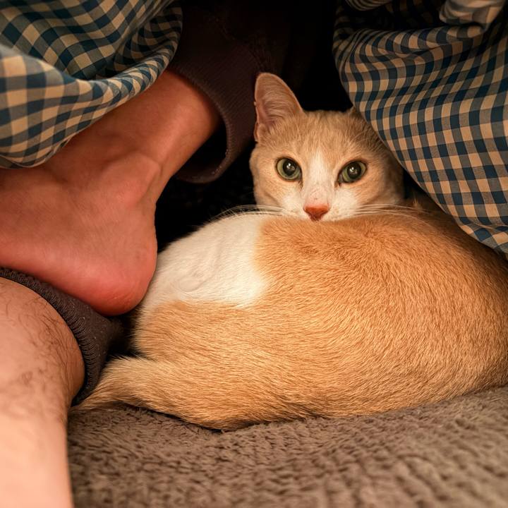 83b8900b 6737 4fde 9859 e1a5448ae21a 1766997164637