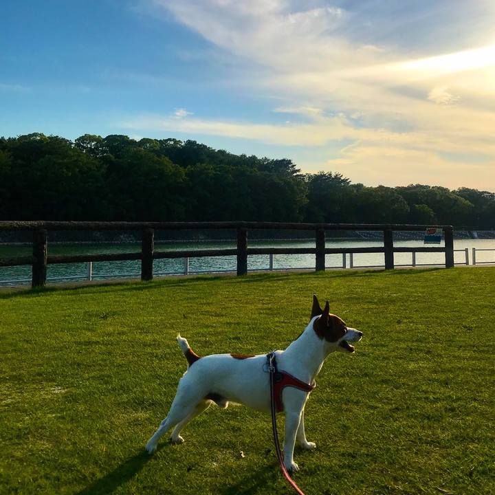 83b8b8ca d205 45c7 879f 19009d191650 1526127561281