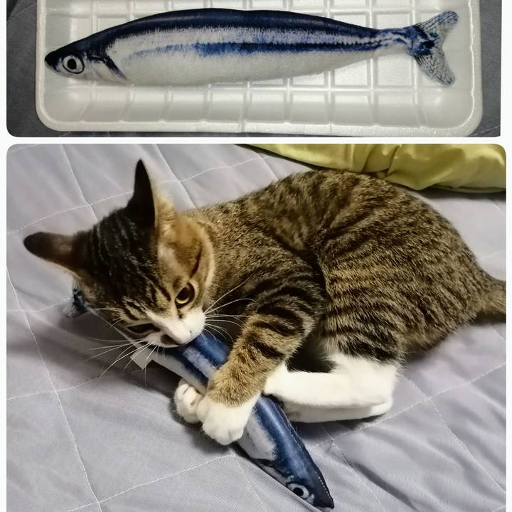 83b8c0f0 bc03 499e 9c74 c5388ba243de 1669811358906