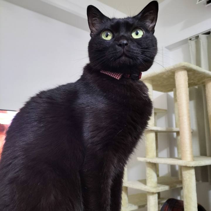 83b8d724 11ac 4c7d a9f5 57415cc4b729 1709292925159