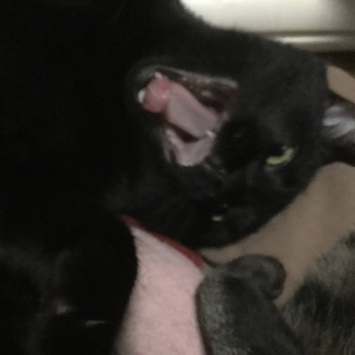 83b8eac3 3ca9 4b60 a03f 99e77645be0d 1571143792135