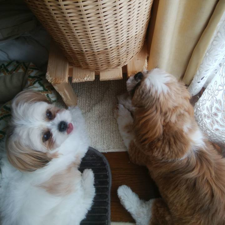 83b91b0b a604 42bc a7cc 6d8d690b8e2b 1550790982633