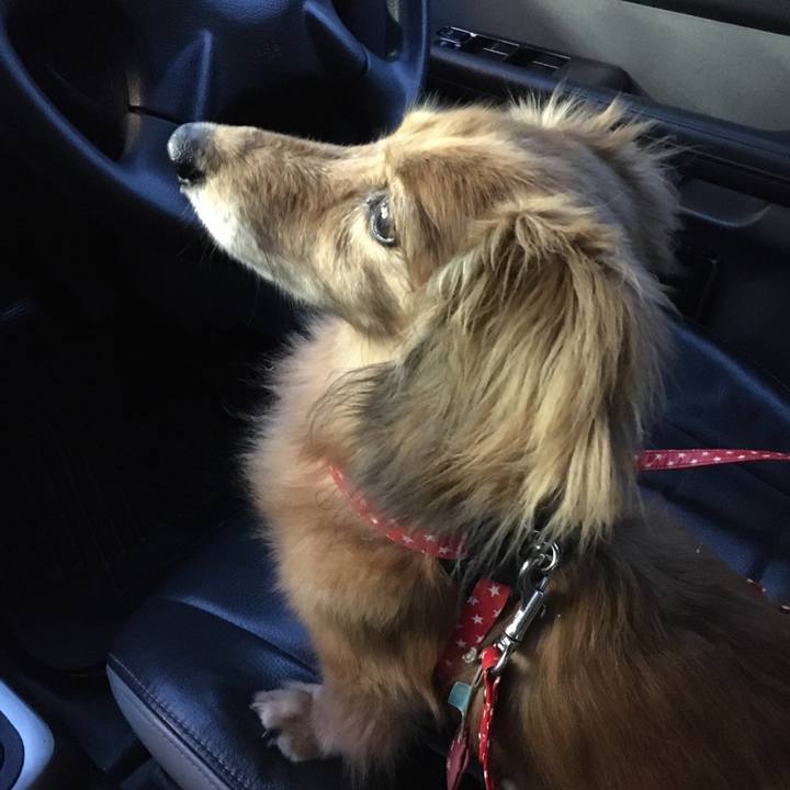 83b948a1 15a6 4a4f 917b bd9a4ba9971d 1595506277502