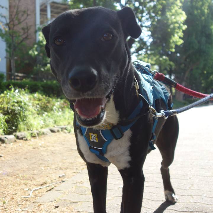 83b94b48 c18d 4f99 bf6f c0a3de51b995 1619049949037