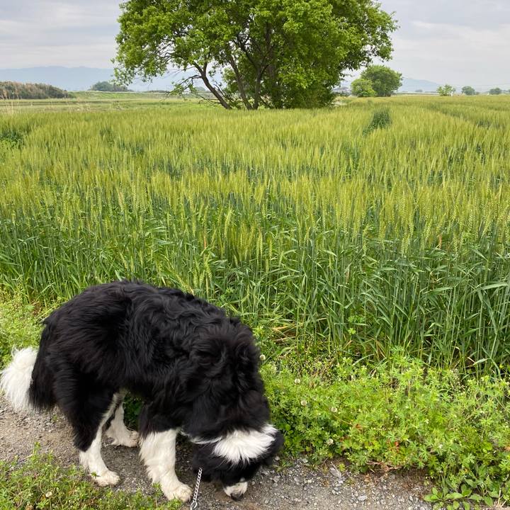 83b965ae 3f0d 43b9 a48a 26f0444755c0 1650669985099