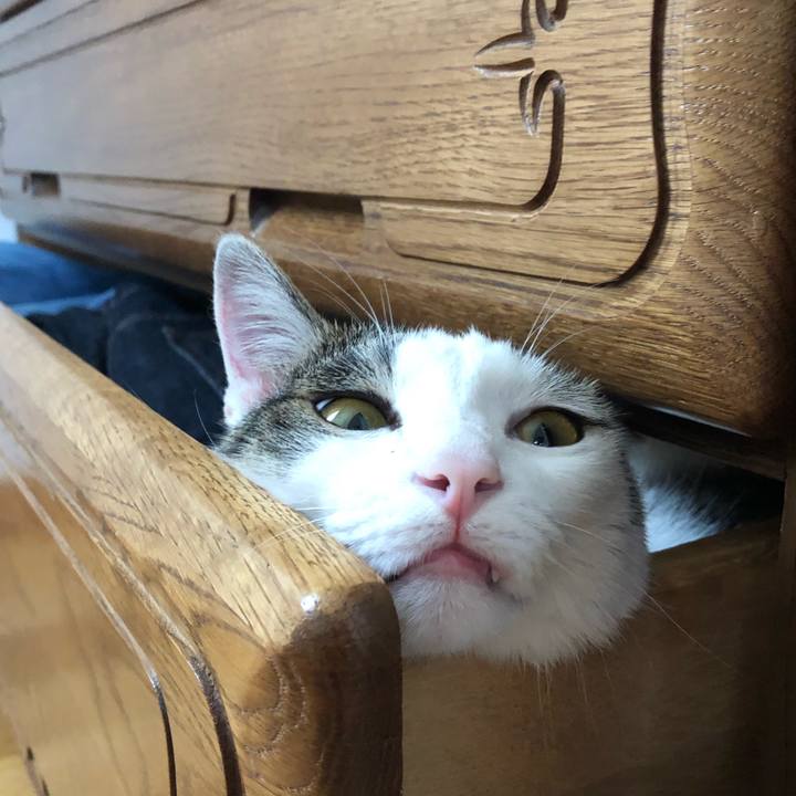 83b9699e d6d0 4fd1 a5b3 002bf0cccf53 1593516222243