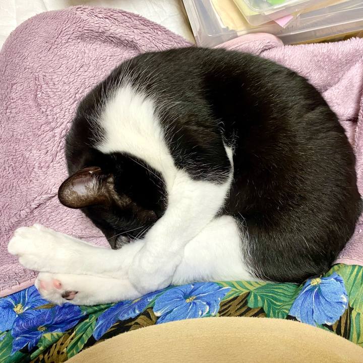 83b9719e 06ba 442a 9a5d b7a98f05295c 1613380629025