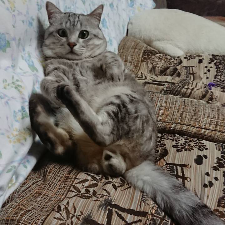 83b98c9f 61f3 40de a2fb bde0326f7857 1538910839562