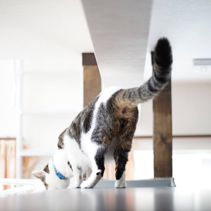 83b9a776 65bf 4b59 b2e0 0b609bcf4500 1513837630383