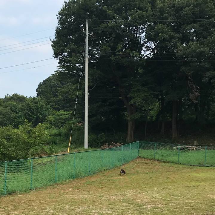 83ba1363 0478 4224 8daf 4df5836ff17b 1565696208827