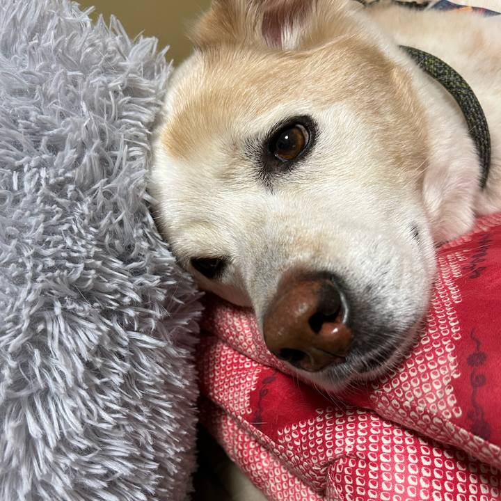 83ba141a 8984 4025 9c71 6597f6148a1b 1679575564966