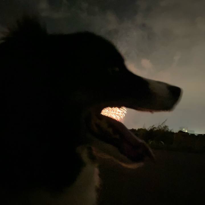 83ba2207 4b16 4ff4 80c6 4ae609baf96f 1629890642434