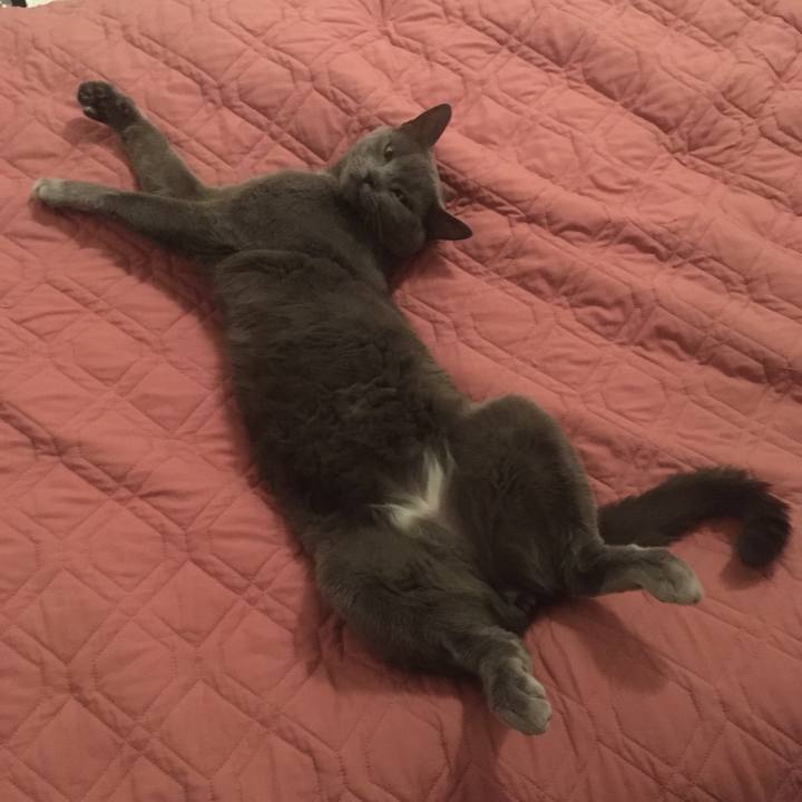 83ba8df9 0a6b 4fba a0c2 b2a8ee56b73a 1659893075590