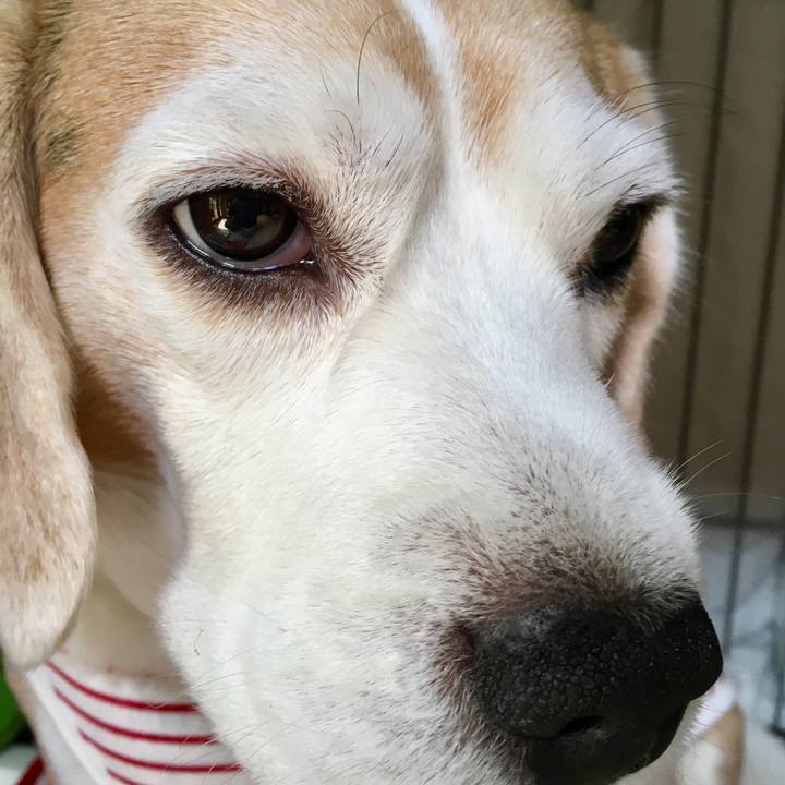 83bab41a 4420 418e b694 d1ad92d294a9 1555993012589