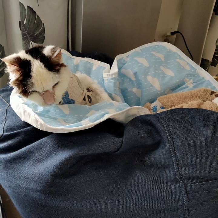 83bad5ad 533b 4624 bd36 c65a7652abfc 1617679207815