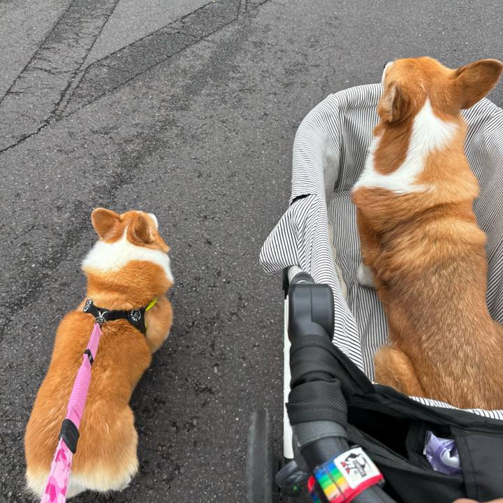 83bade8f 8c65 4171 b5b0 d1848341a7a3 1749525538618