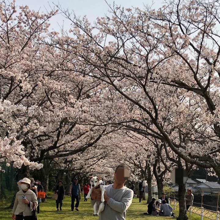 83bb3c00 aab6 4c4a 91f3 f8440fab3d0e 1554645570982