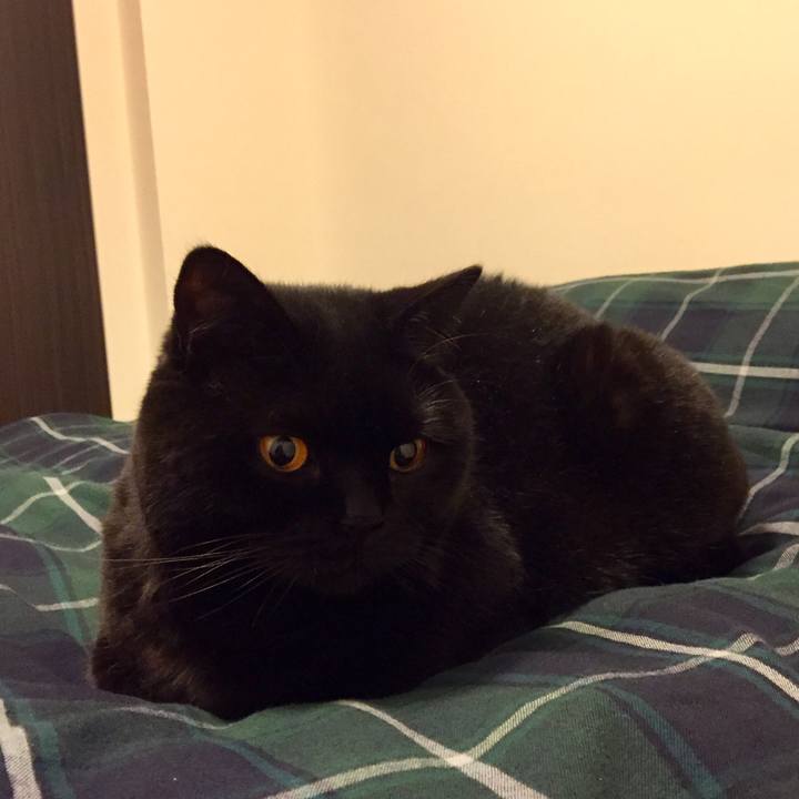 83bb53b2 0543 467b b1eb 6eb8091ce980 1586611930707