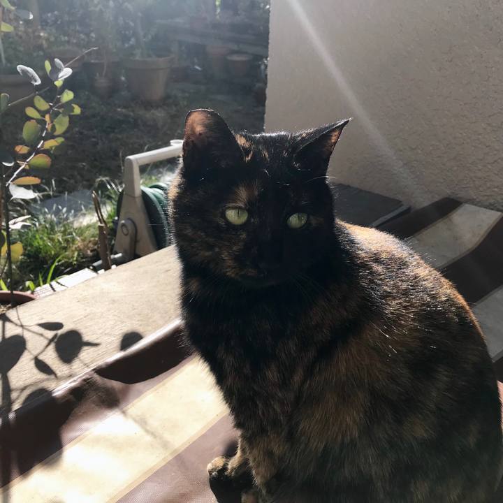 83bb59ff e117 4fca 8f20 280696d3b49a 1515734454842