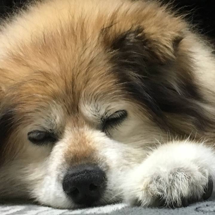 83bb5ce9 48ca 4a52 9ecf ac47412b960e 1602683659116