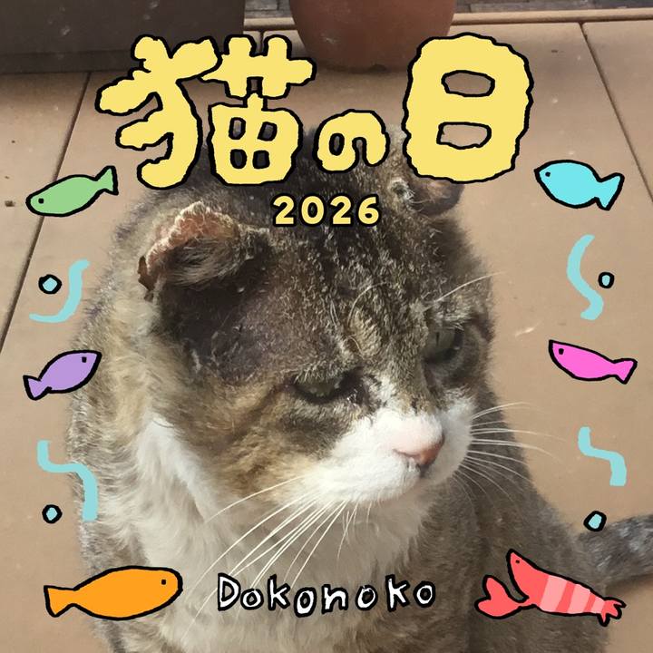 83bb7d9d 3a2c 436a 9418 226617557758 1771706714714