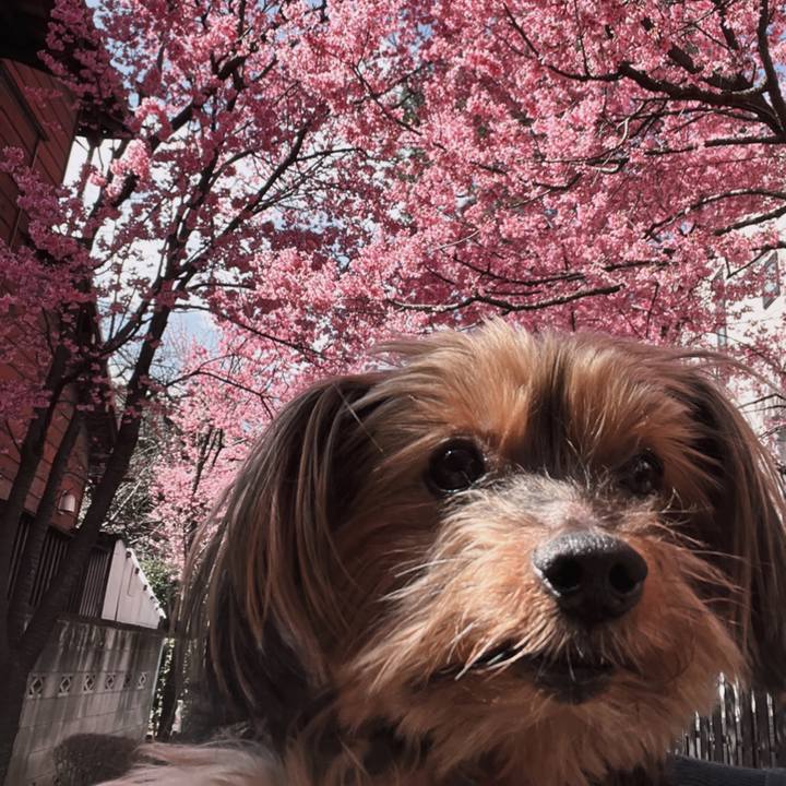 83bb87b6 6c7a 4e06 aaa1 c0782f1b4dca 1647319861275