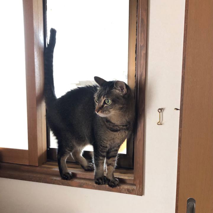 83bbb542 3ee8 4347 97bc 267c503732f9 1606782183913