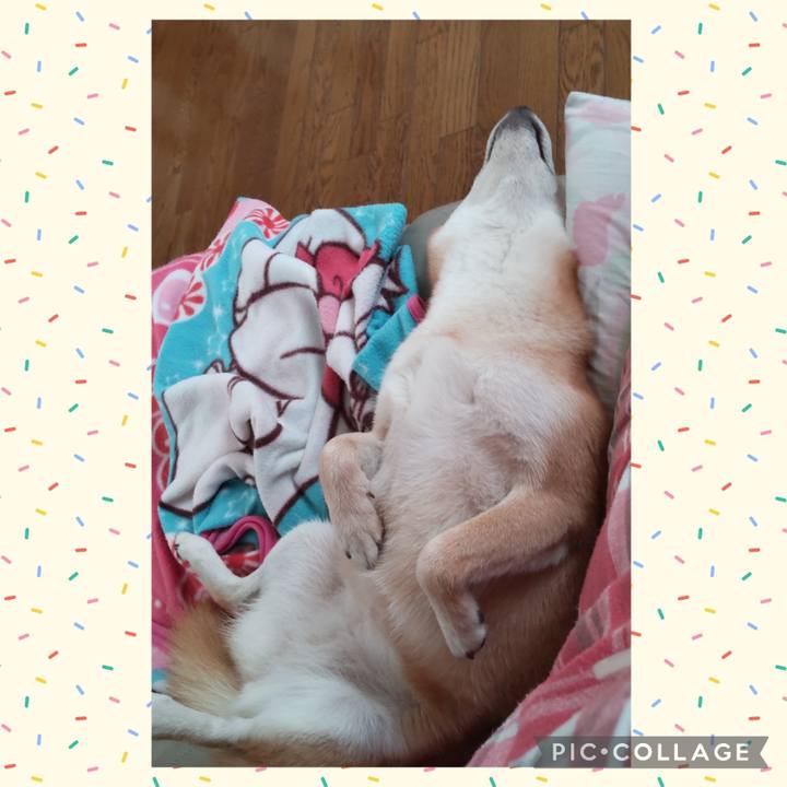 83bc0b10 55b2 41a8 9913 2842a2f8c36d 1731907813547