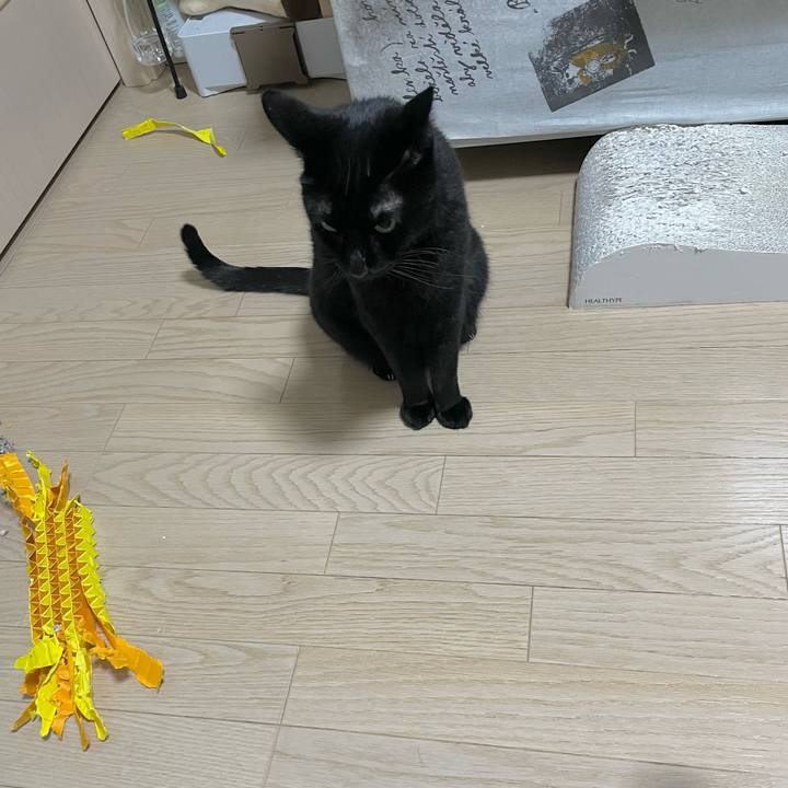 83bc478f b75e 4b15 a59d 83c14e172737 1712148681756