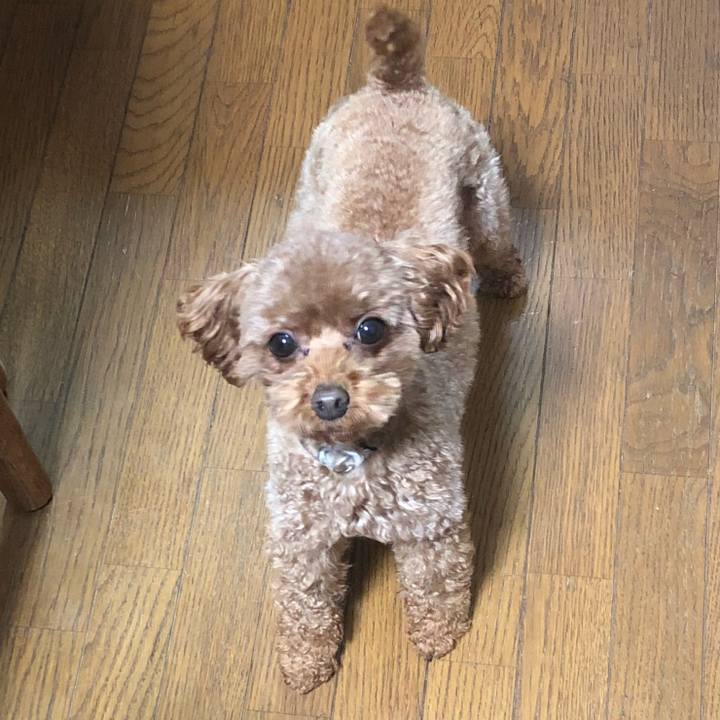 83bc5f3b a910 4705 9c17 95b4f5aca8a1 1550668739496