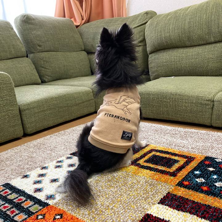 83bc6887 1024 4bc6 8af9 b22a9497f5cc 1680966164682