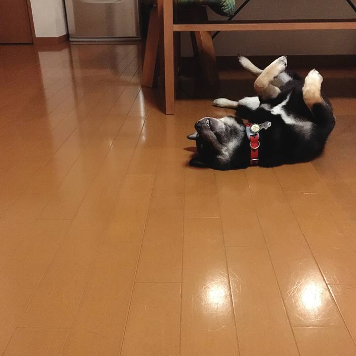 83bc7e99 17b3 4b66 804e 8b176c0d63cb 1532438082605