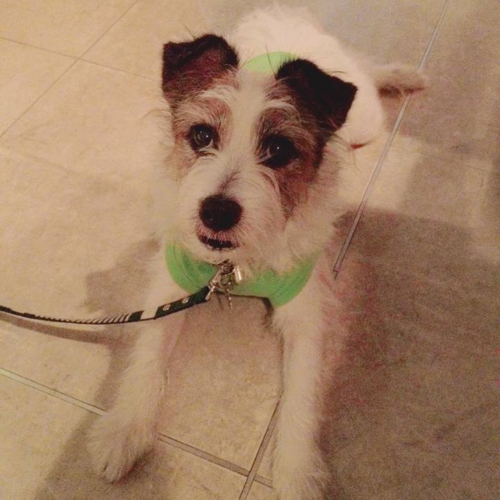 83bc7fc2 3876 4d4c 954e 542858fe4086 1561790612832