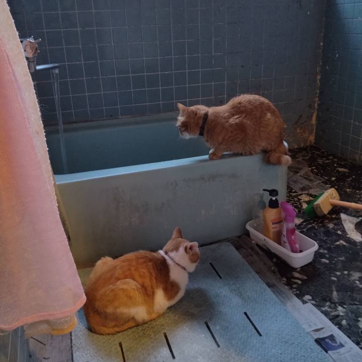 83bce6a0 d7ae 455a a7e8 6451f280cf08 1747648699755