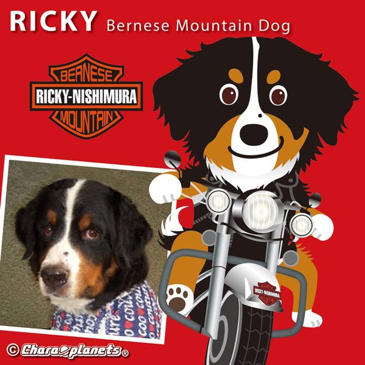 83bcf6ba 89b3 4f8f ade2 6325bc851f35 1561341445824