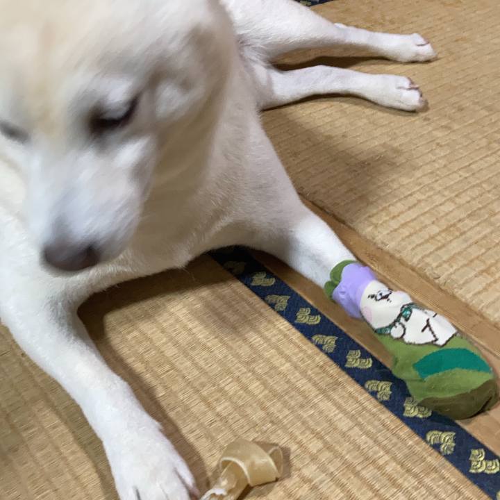 83bd4021 9700 4317 9925 e342b0898797 1699186622492