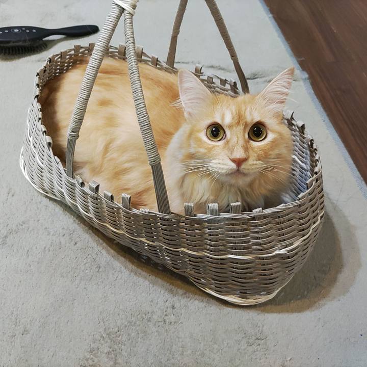 83bd85db 1ec2 4cab b27a 76f85c261579 1694265127846