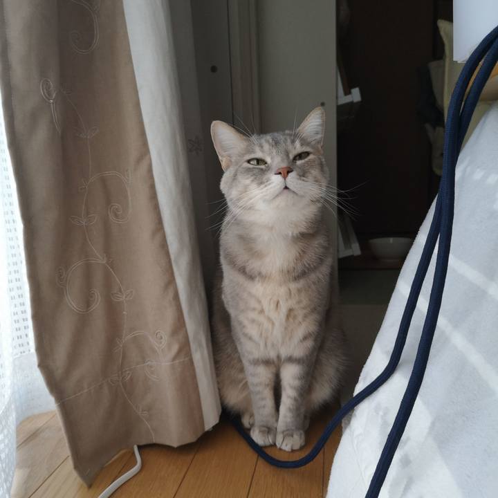 83bd8a2b 65f2 4829 adfd 8ac949fb816f 1587877073464