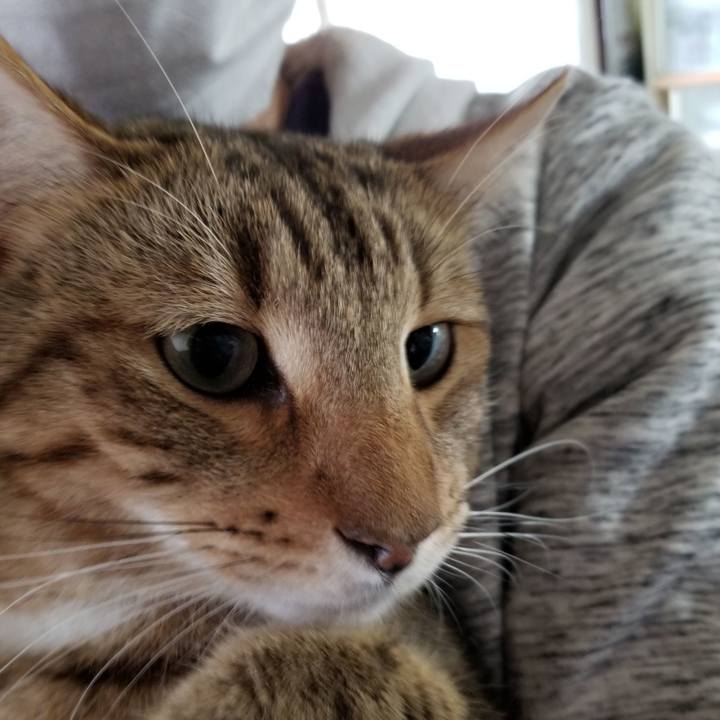 83bd9fc4 ea39 467f 8ddb 1441182de18a 1655138494231