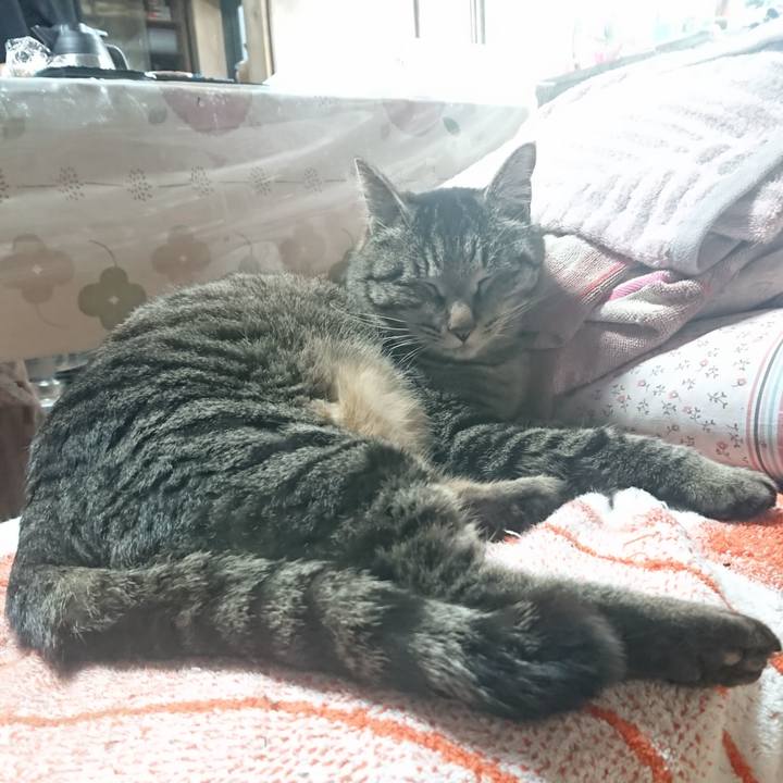 83bdbdb0 b80d 43d8 8764 87a12010c114 1649202854304