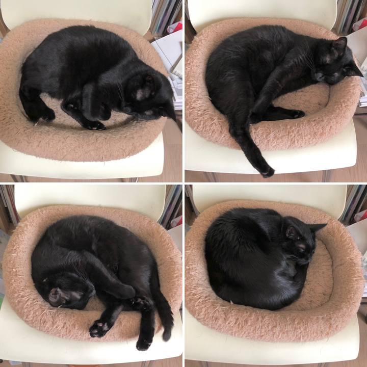 83bde093 fe54 4024 b15d 69e7c0c1d78e 1620519284385