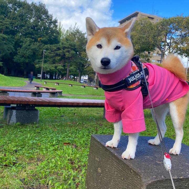 83bdfc32 6547 4f68 a224 b68ca4f140aa 1665488703993