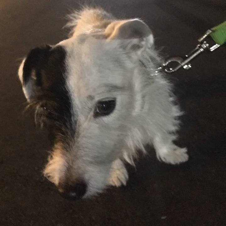 83be0384 174d 4d8f bbc5 62a910578c03 1538664184190