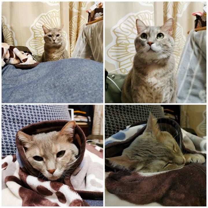 83be0cfd 7401 4974 b8ea ab04572f6c7b 1670510858957